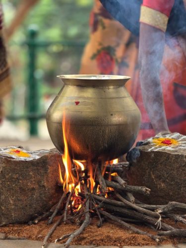 PONGAL 2026 34